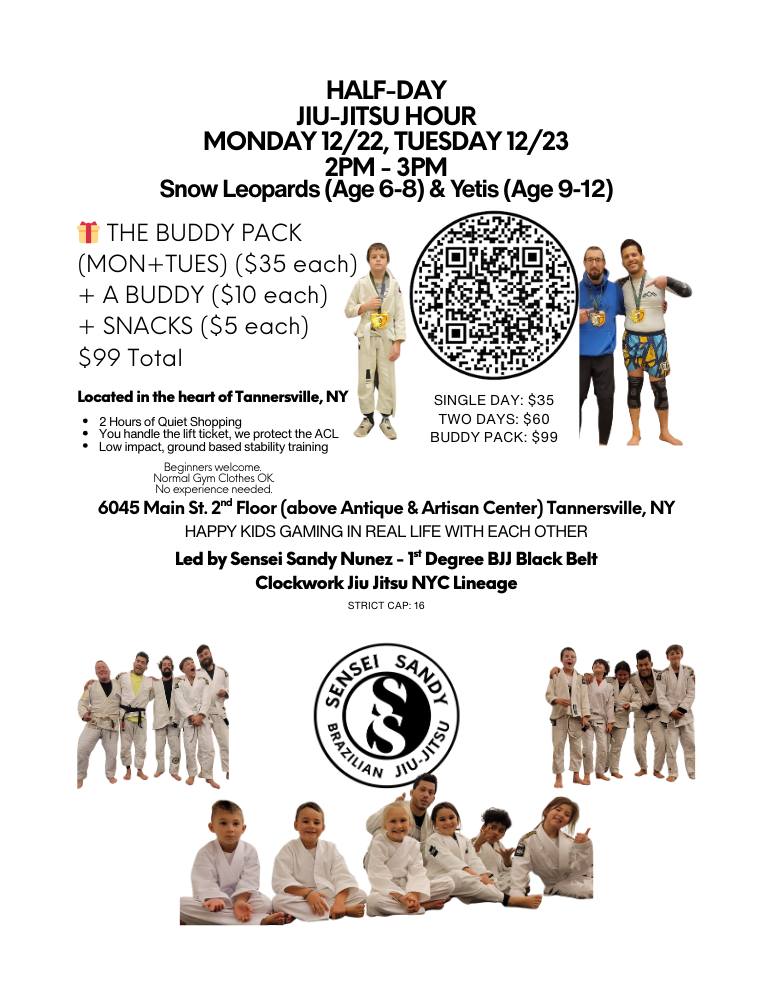 Half-Day Jiu-Jitsu Hour flyer